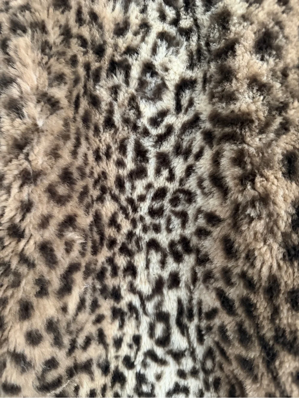 C&C CALIFORNIA Girls Leopard Coat size 6 - Picture 3 of 4